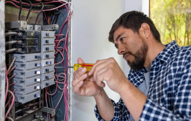 Best Ceiling Fan Installation Electrician  in Clio, AL